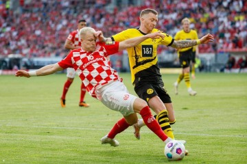 德甲:美因茨VS沃尔夫斯堡比赛分析